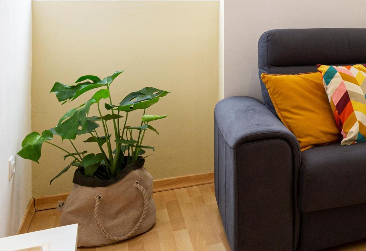 Homefeel Museo Appartement